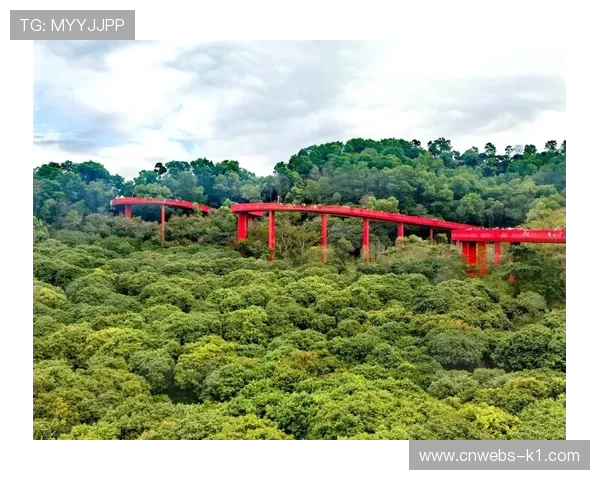 光明虹桥公园打造“第二观赛区”,骑行旅游融合升温 光明虹桥公园打造“第二观赛区”,骑行旅游融合升温